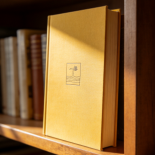 学习区-掘金有术